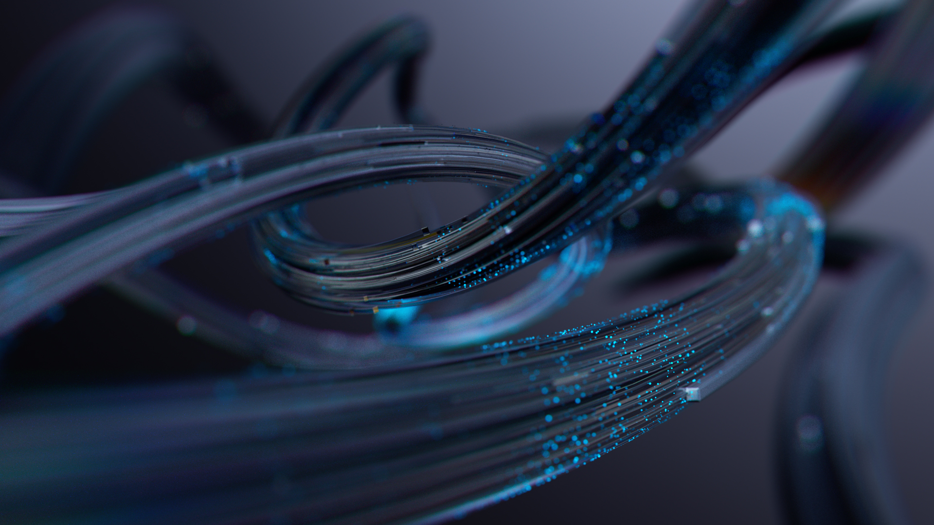 trailsone (0-00-00-00)